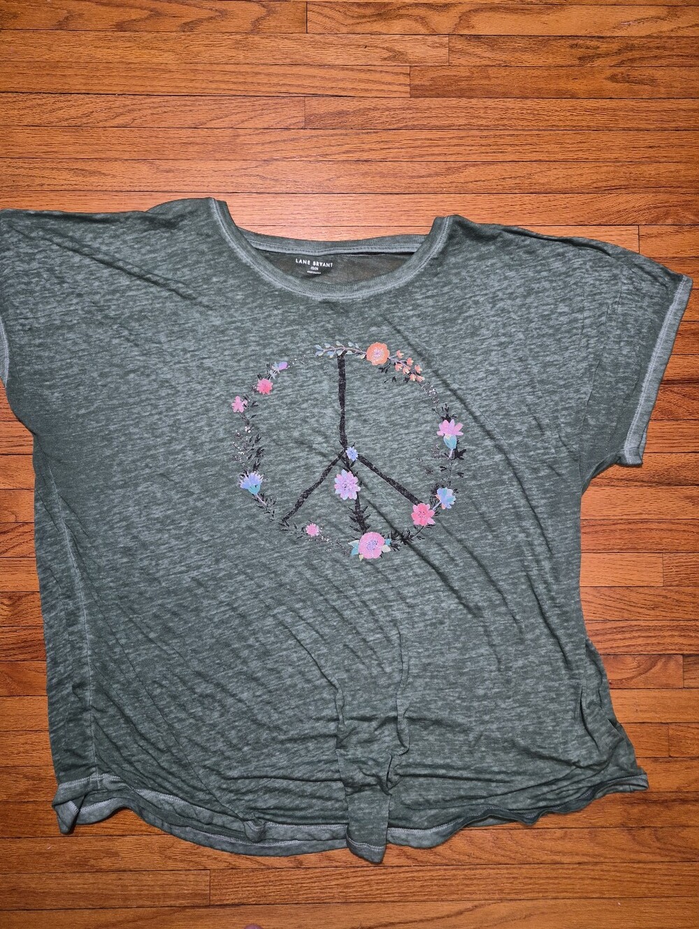 Lane Bryant 22/24 Semi Sheer Y2K Tshirt